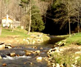 Cabin for Rent on 21 Acres of Private North Carolina, Near Boone