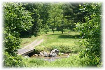 Private driveway. This cabin is secluded for the ultimate mtn. retreat