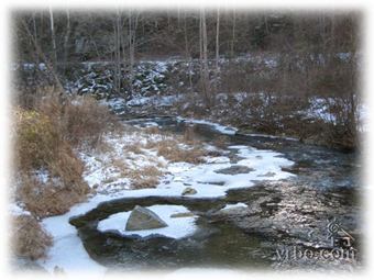 Elk Creek in winter.